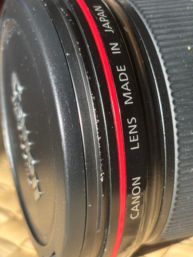 Canon EF 16-35mm f/2.8 L ズームレンズ