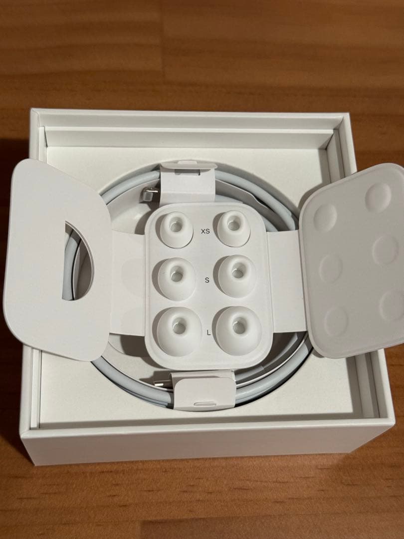 Apple AirPods Pro 第二世代 Lightning