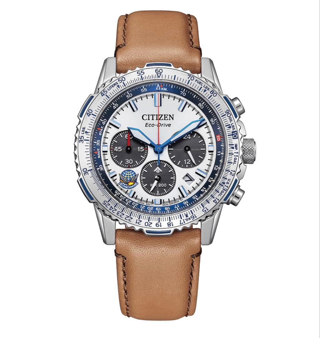 限定モデル プロマスター シチズン CA4661-09A