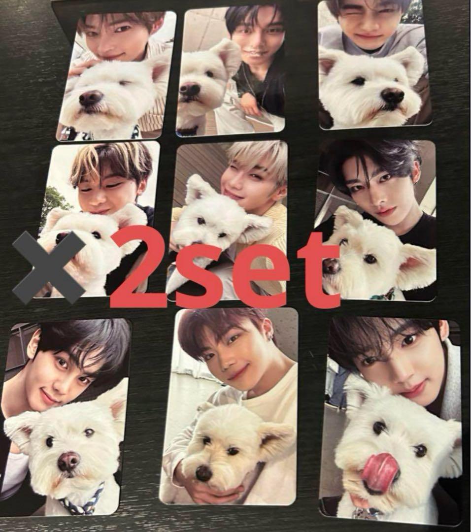 zerobaseone zb1 デジパ　レオ　トレカ　コンプ　9種