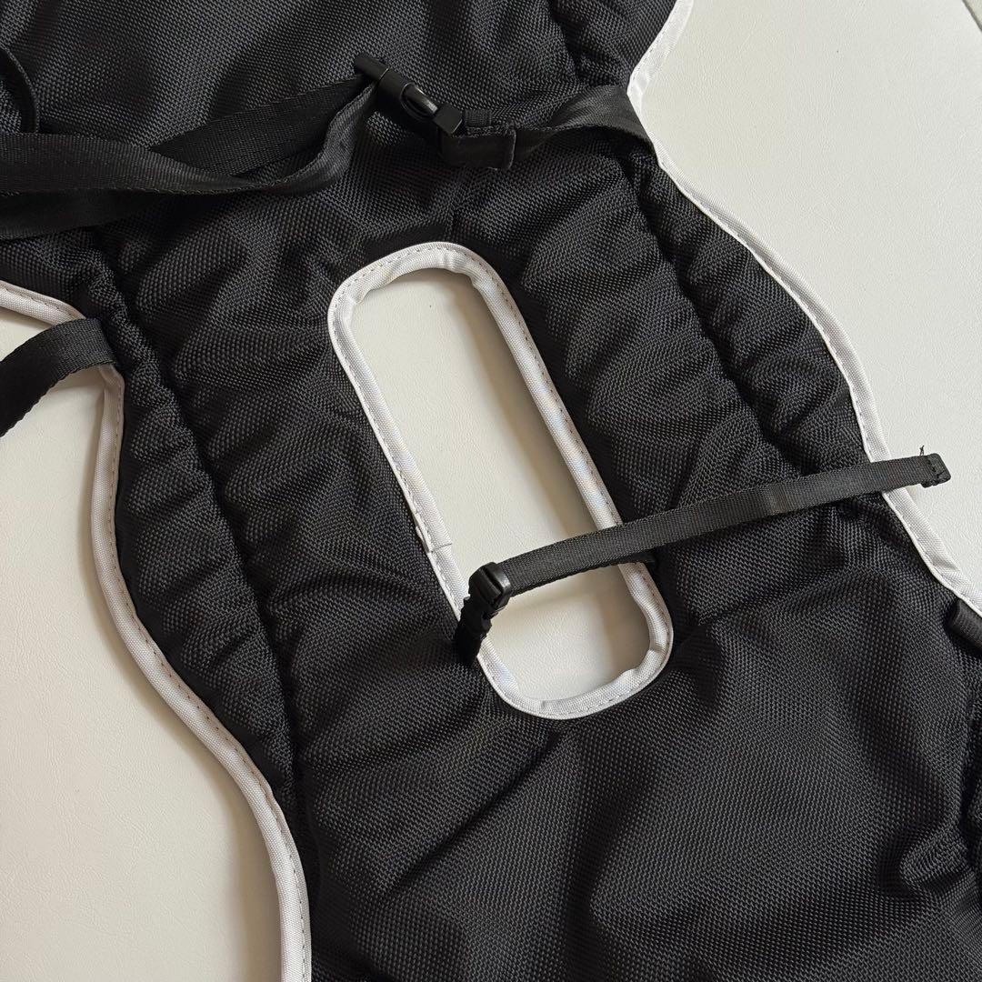 【momoさん専用】【美品】airluv4 エアラブ4 ロリポップ