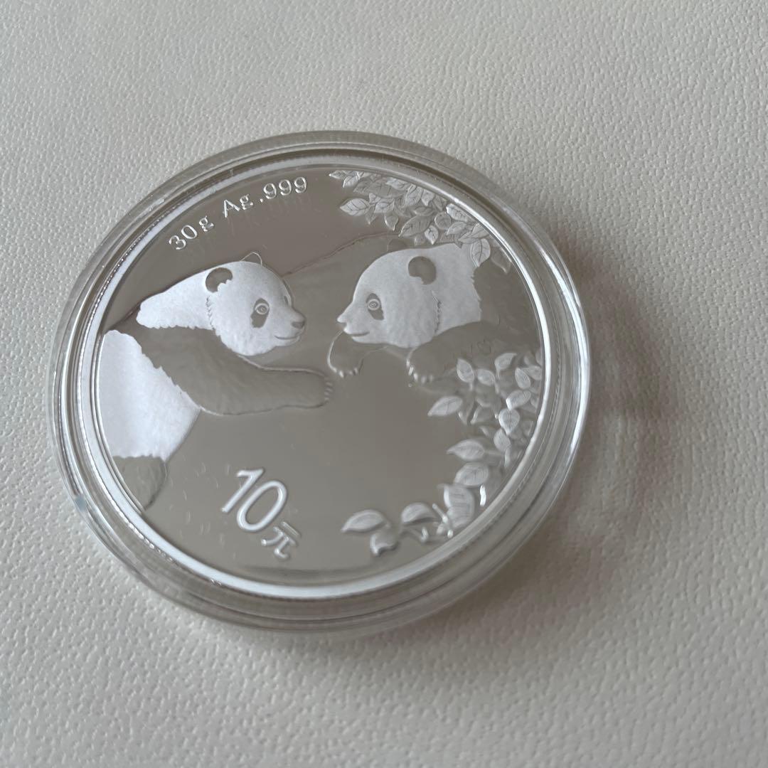 2023年 パンダ銀貨 10元