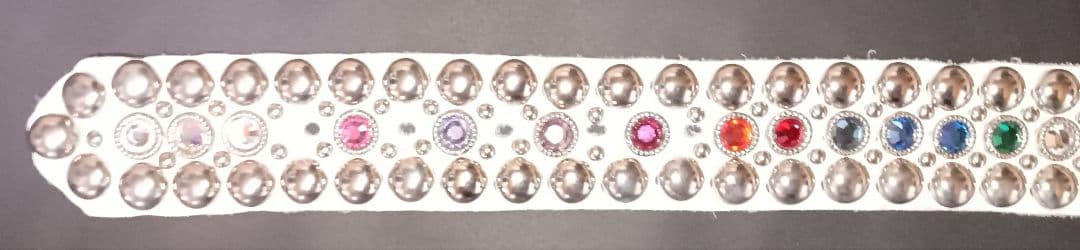 E*す様 【超レア‼️】ミスチル 桜井着 ロンハーマン SKY ベルト