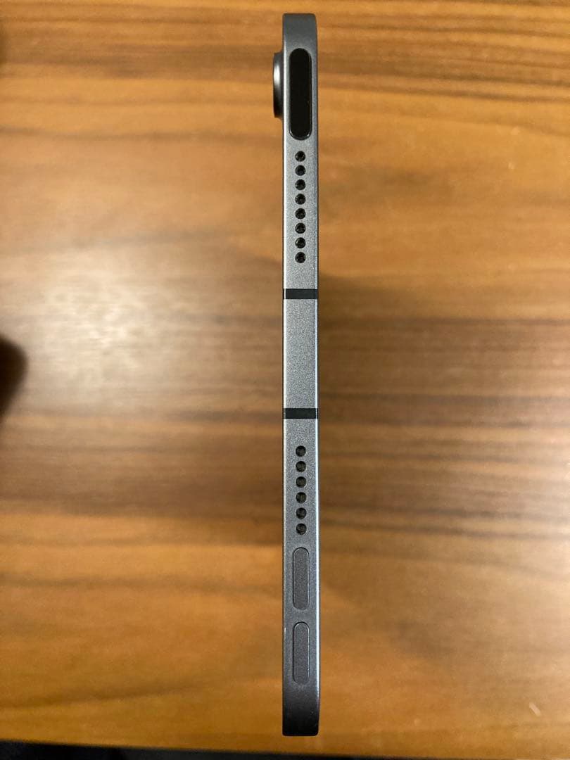 iPad本体 Apple iPad mini Wi-Fi+Cellular 256GB