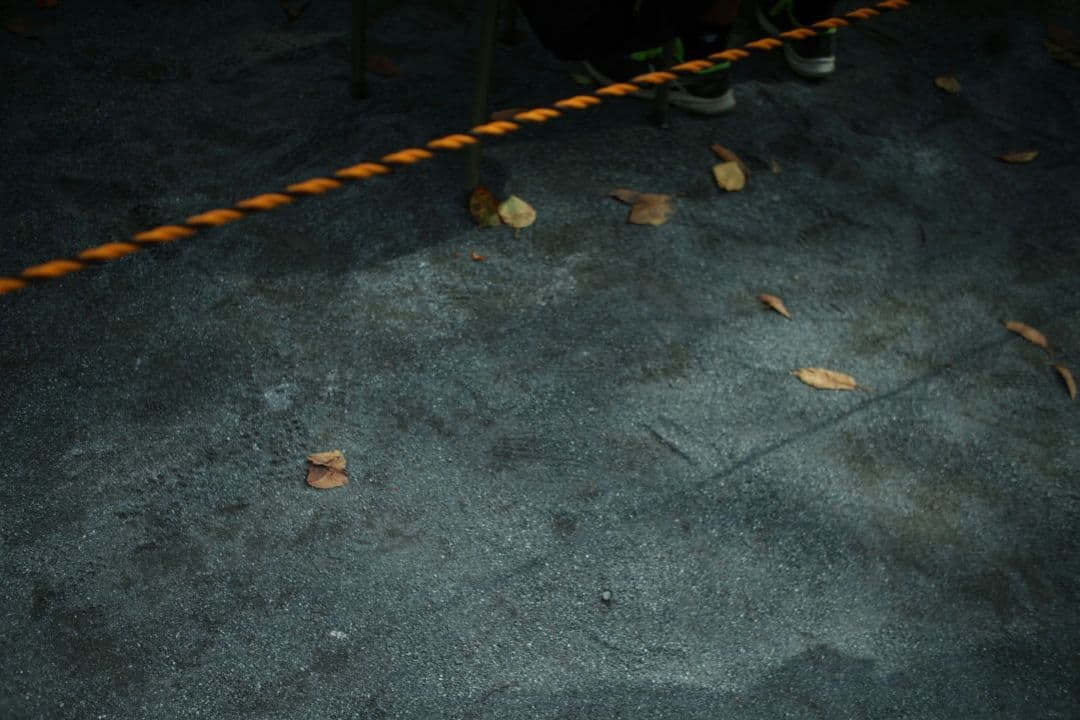 『お得セット』SONY zv-e10 レンズ3点&フィルター1点