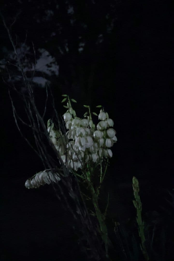 『お得セット』SONY zv-e10 レンズ3点&フィルター1点