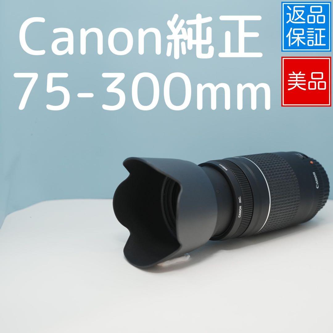 Canon純正 75-300mm 望遠レンズ 美品 a3956