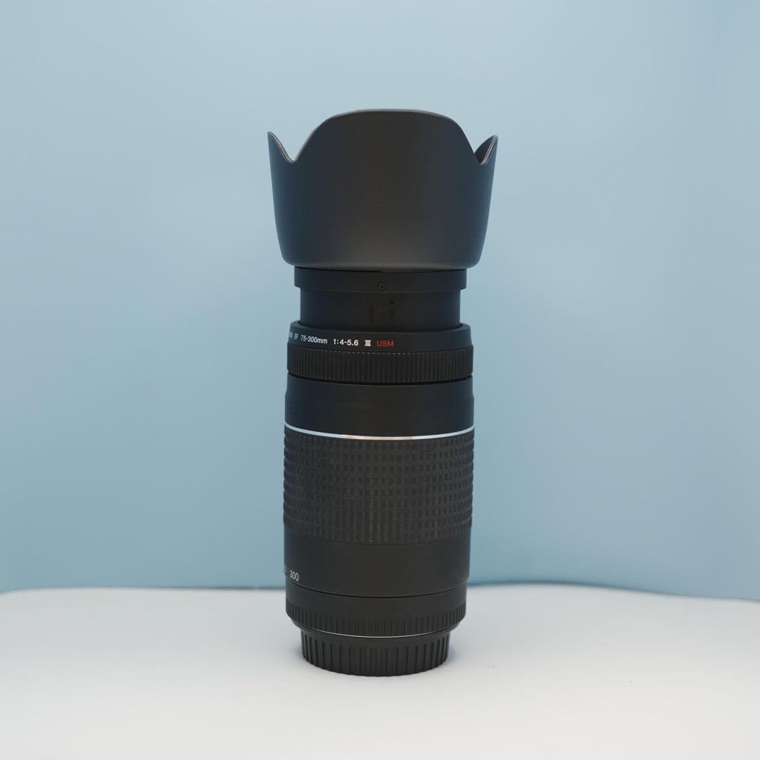 Canon純正 75-300mm 望遠レンズ 美品 a3956