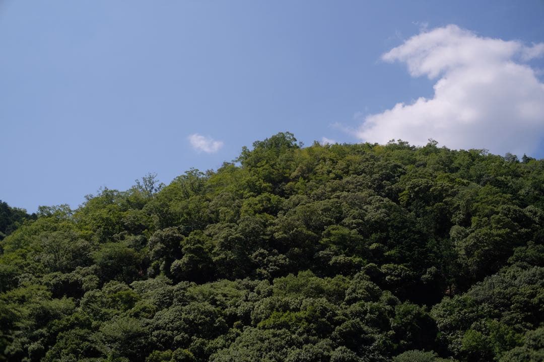 デジタルカメラ fujifilm xpro2