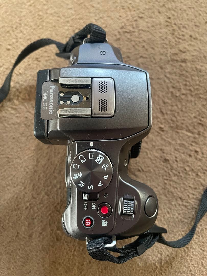 LUMIX DMC-G6 ミラーレス一眼カメラ