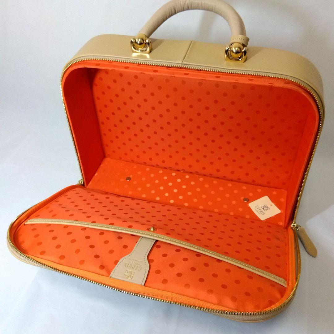 極美品　CYPRIS　ジッパーフライトケース　ブリーフケース　バッグ　希少カラー