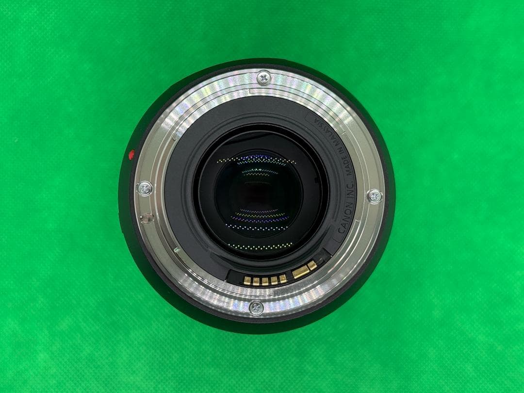 Canon EF70-300mm F4-5.6 IS II USM + フード