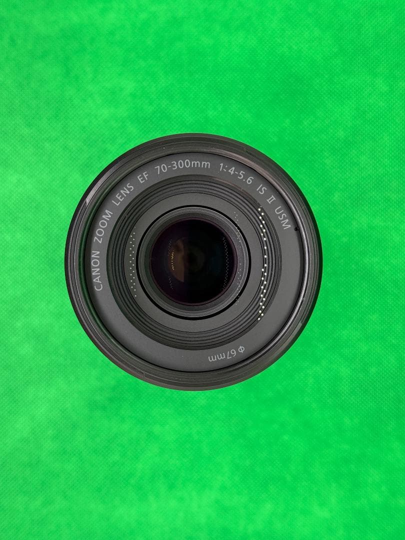 Canon EF70-300mm F4-5.6 IS II USM + フード