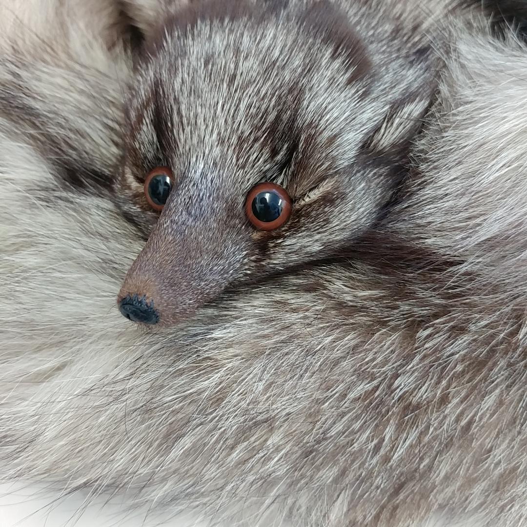 GIVENCHY ジバンシー　リアルファー　フォックス　高級毛皮