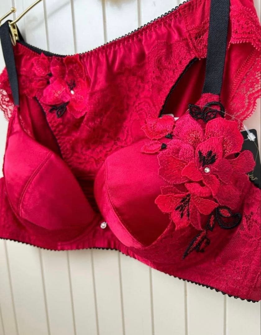 キューティーハニー C80 L 赤 ブラジャーショーツセット