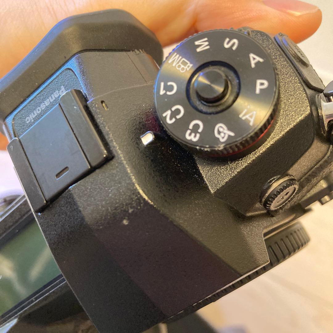 デジタルカメラ Panasonic LUMIX DC-G9 G9 Pro