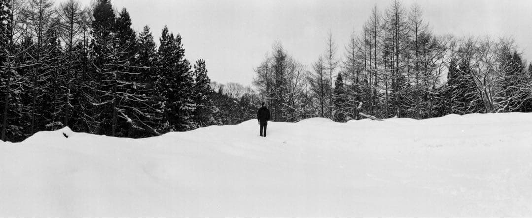 【momo&mikan】PANON WIDELUX ワイドラックス F8