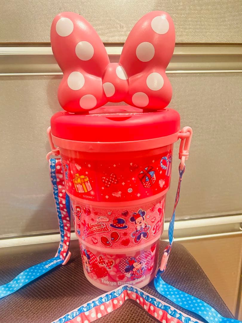 パルパルーザ　ミニーのファンダーランド ポップコーンバケット