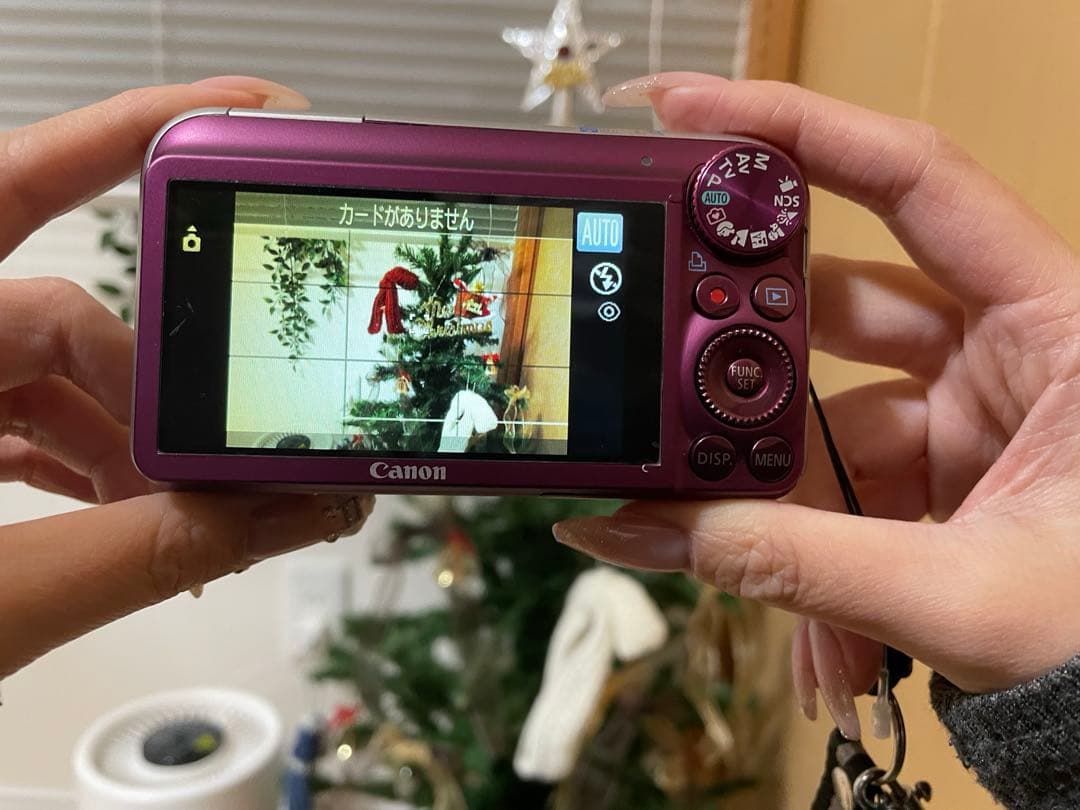 panther Canon PowerShot SX210 IS デジカメ