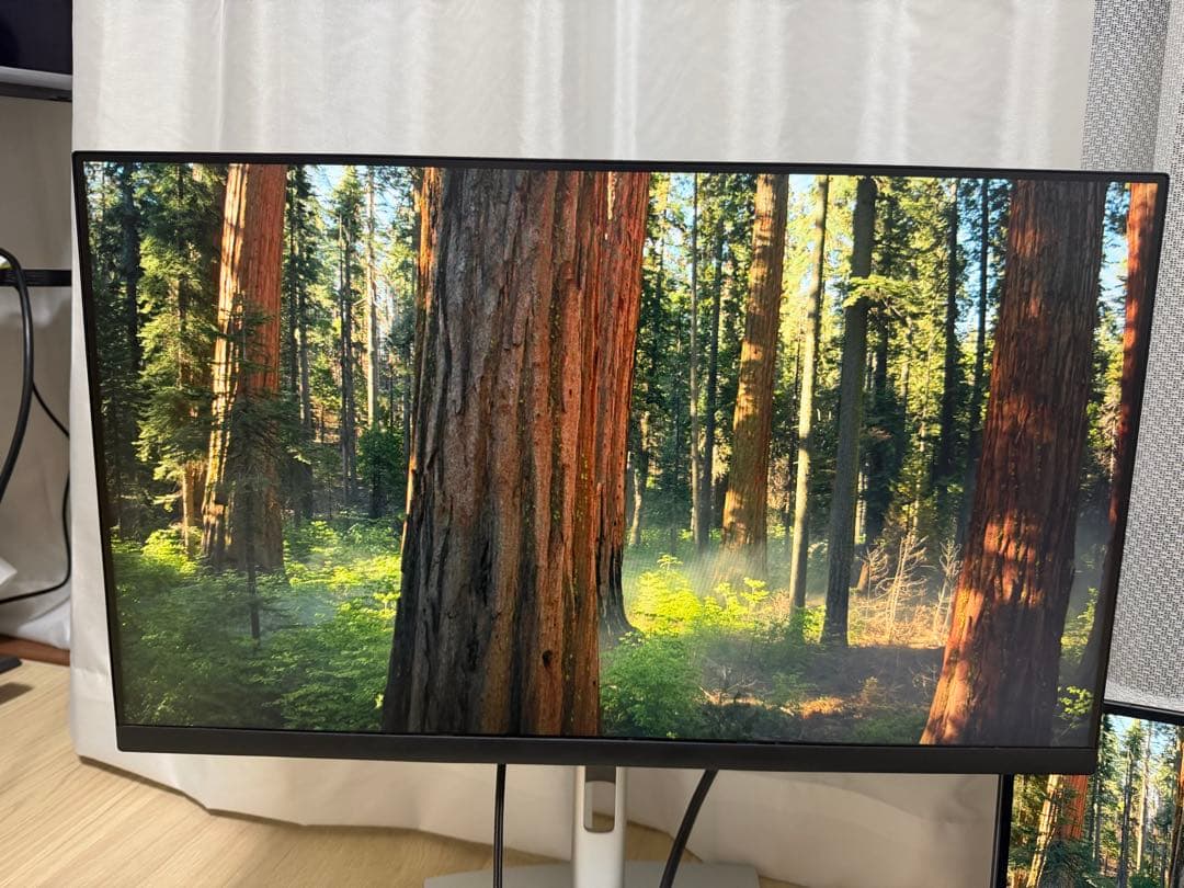 DELL 24 Monitor P2422HE 本体