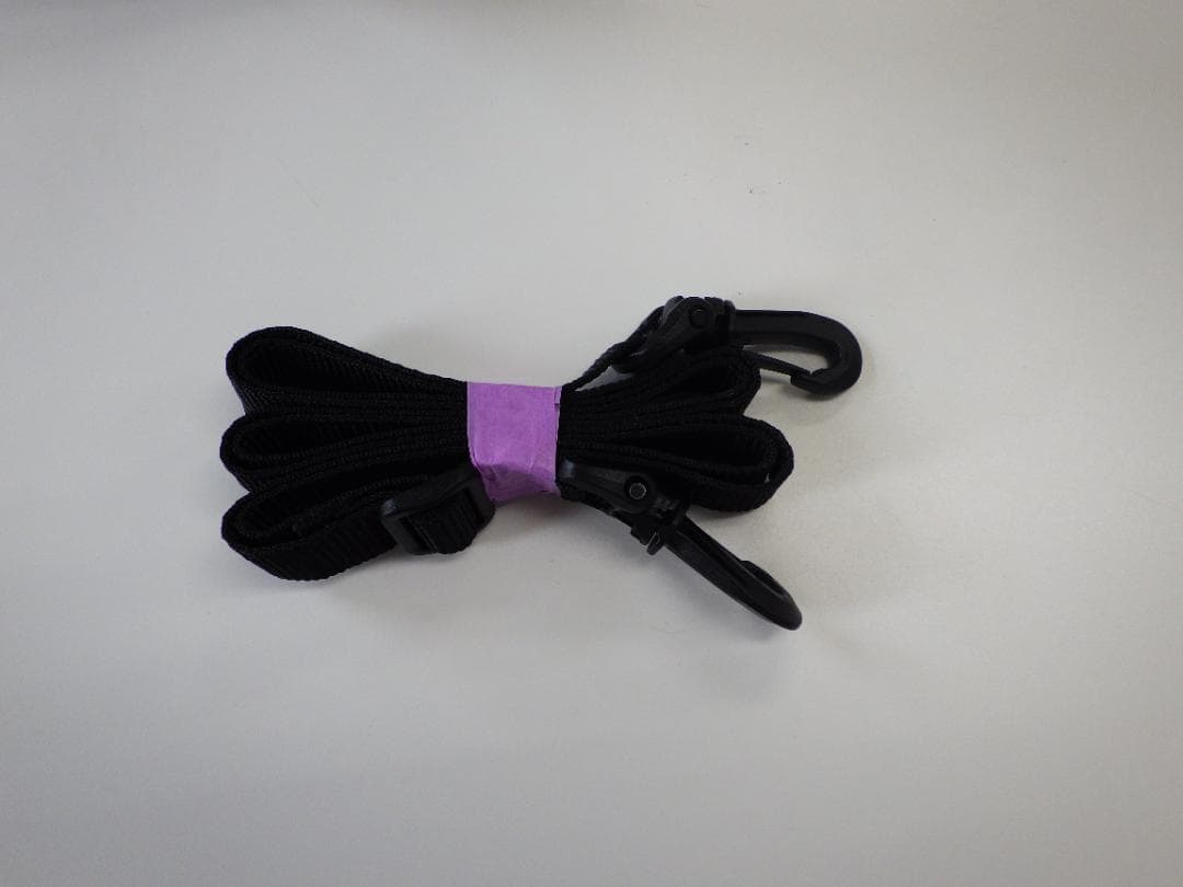 CANON 単焦点望遠レンズ RF800mm F11 IS STM（付属品あり）