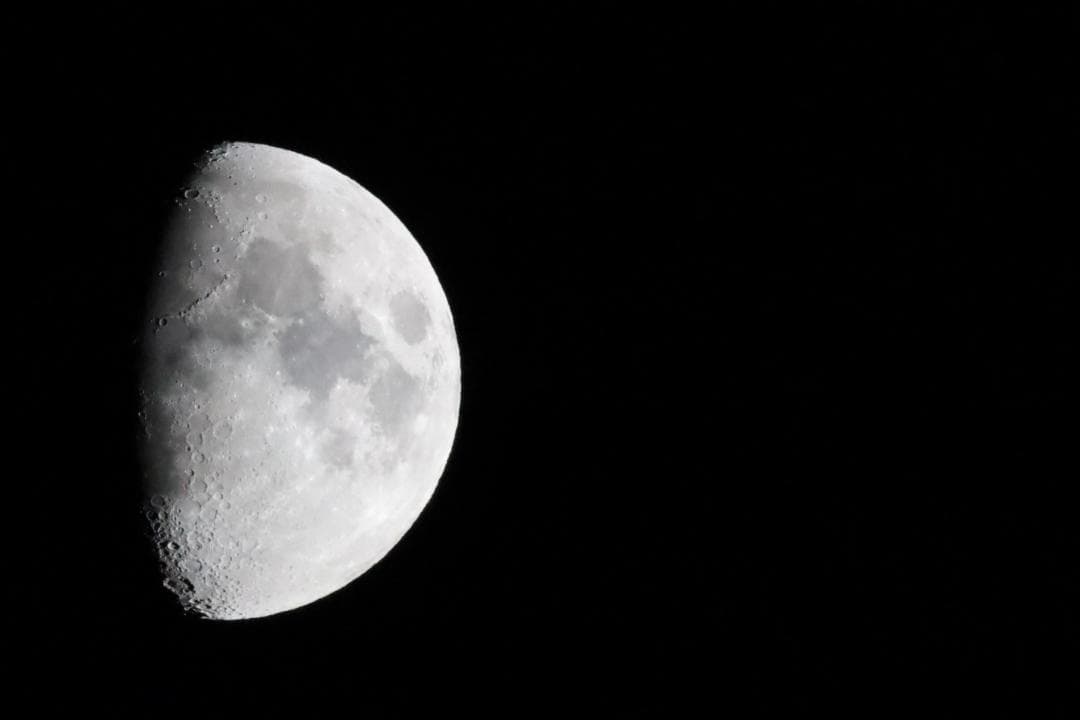 CANON 単焦点望遠レンズ RF800mm F11 IS STM（付属品あり）