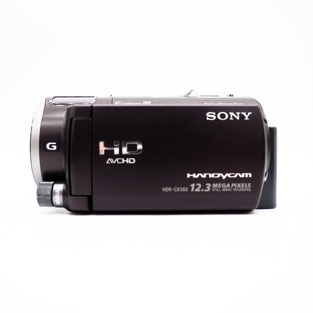 Sony ソニー ハンディカム HDR-CX560V ブラウン