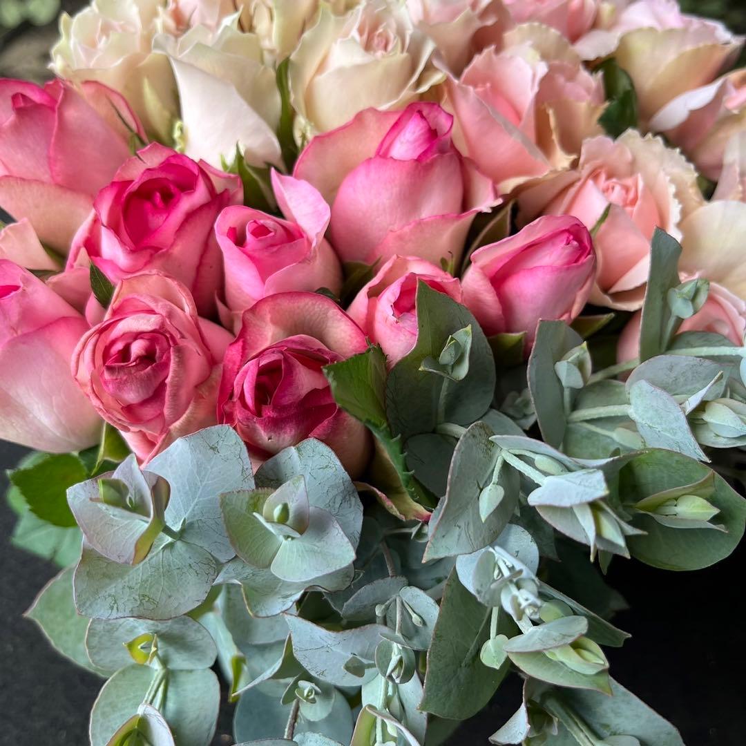 Pablok　薔薇75本 ユーカリ追加10本 ラッピング＆メッセージカード