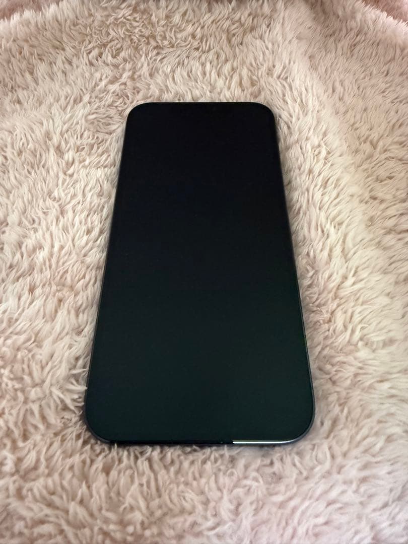 iPhone12 Pro Max本体（512GB ）