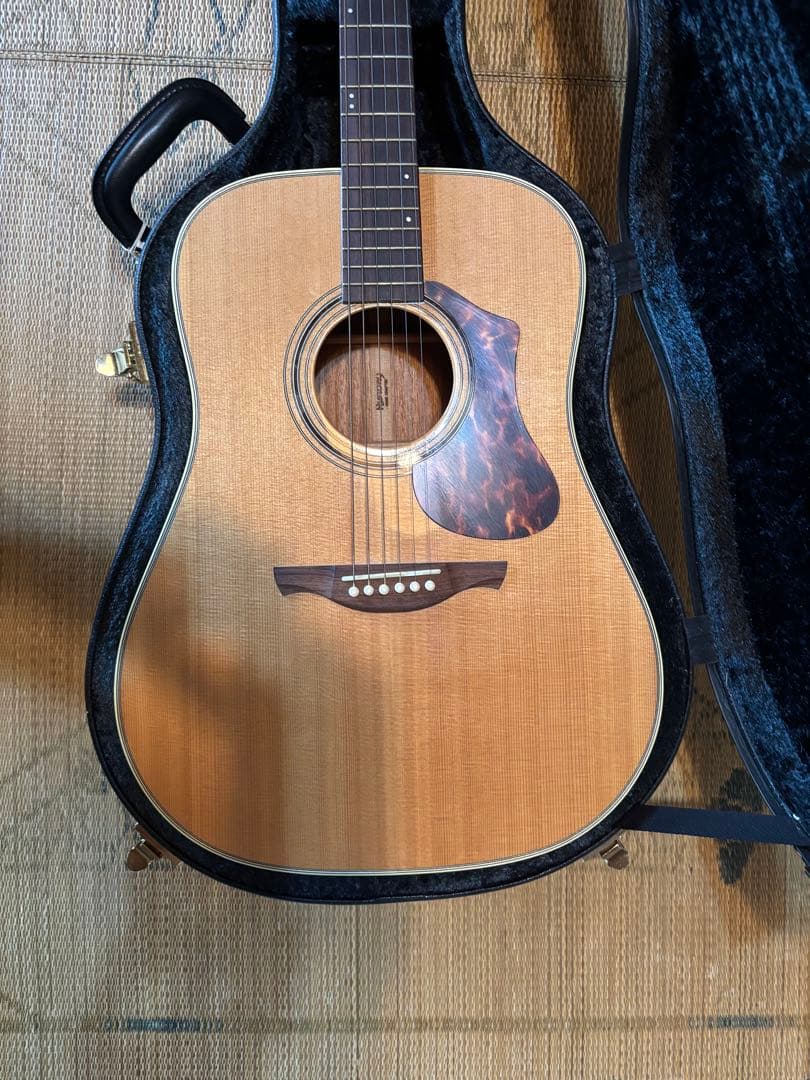 HISTORY NT-L4 ハードケース付き