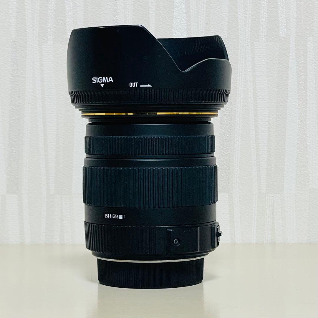 SIGMA シグマ 17-50mm F2.8 EX DC HSM レンズ