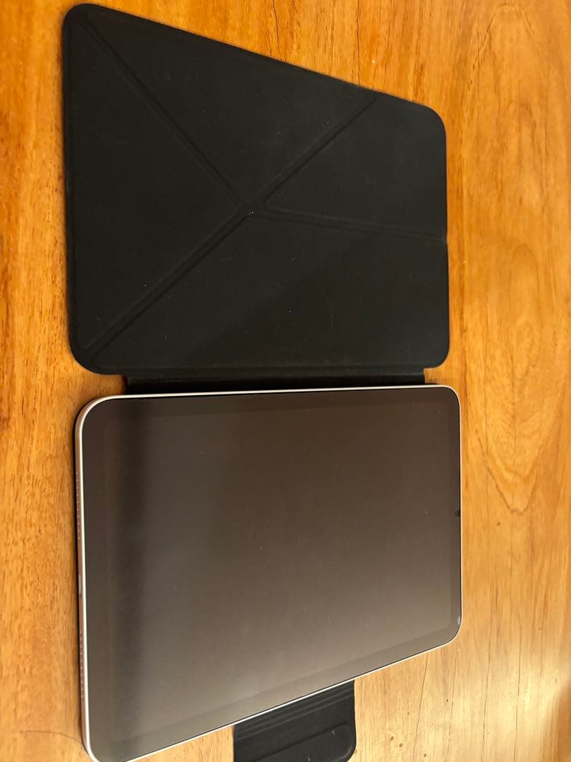 iPad mini7&ApplePencil Pro&PITAKAケース