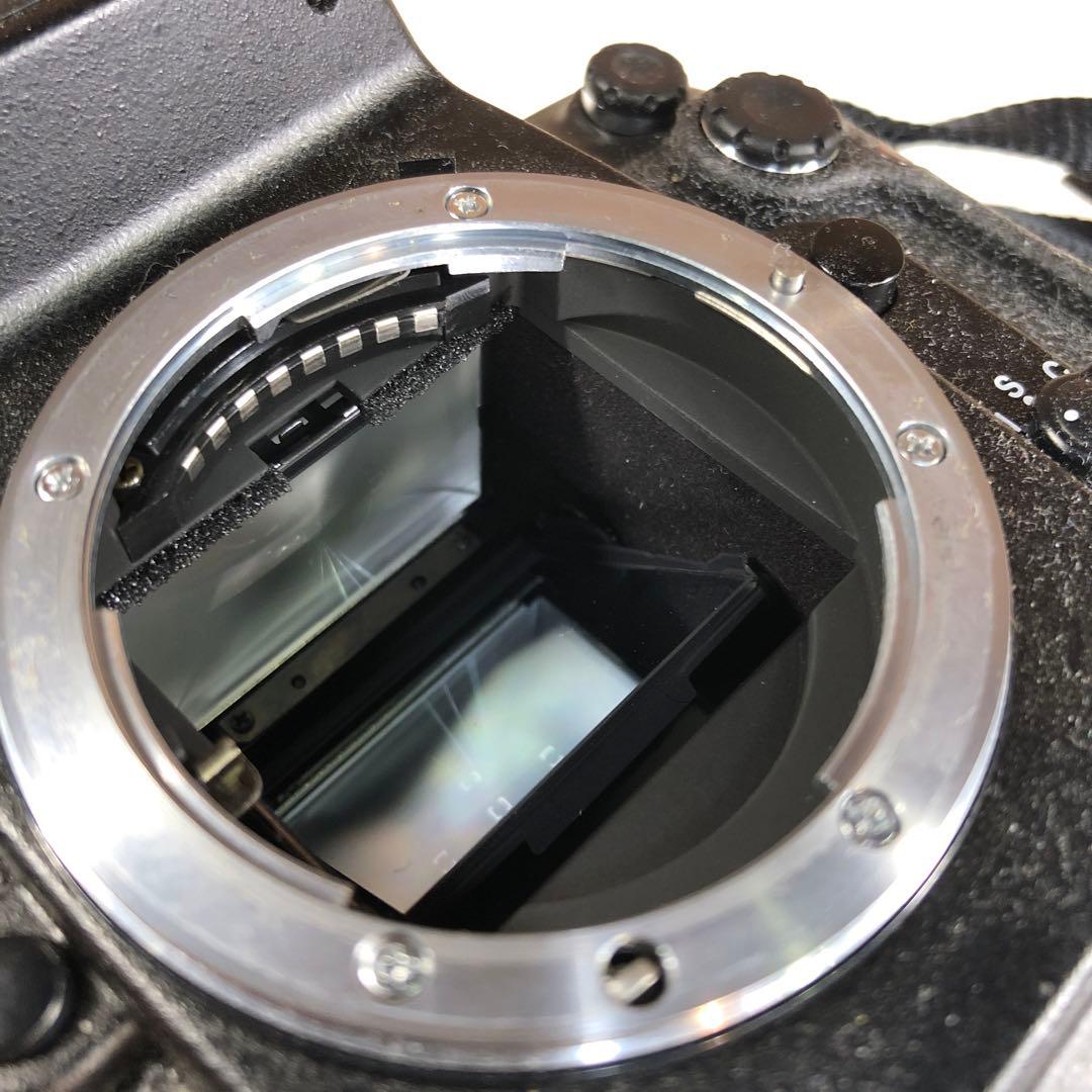 ✅ Nikon F100 フィルム一眼レフカメラ　レンズ無