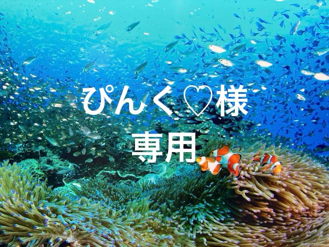 エンビロンCクエンストーナー　Aブーストセラムインテンス