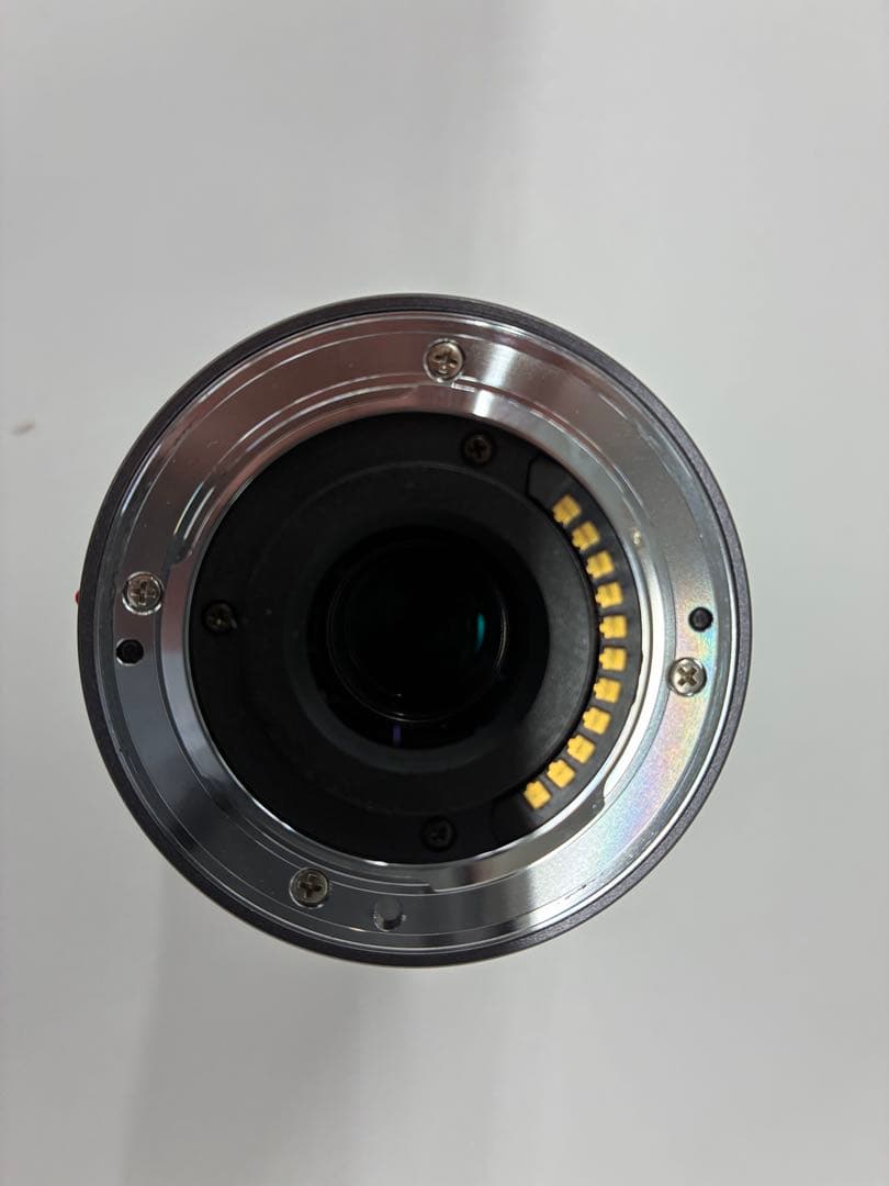 レンズ(単焦点) Panasonic LUMIX G VARIO 7-14mm F4.0ASPH