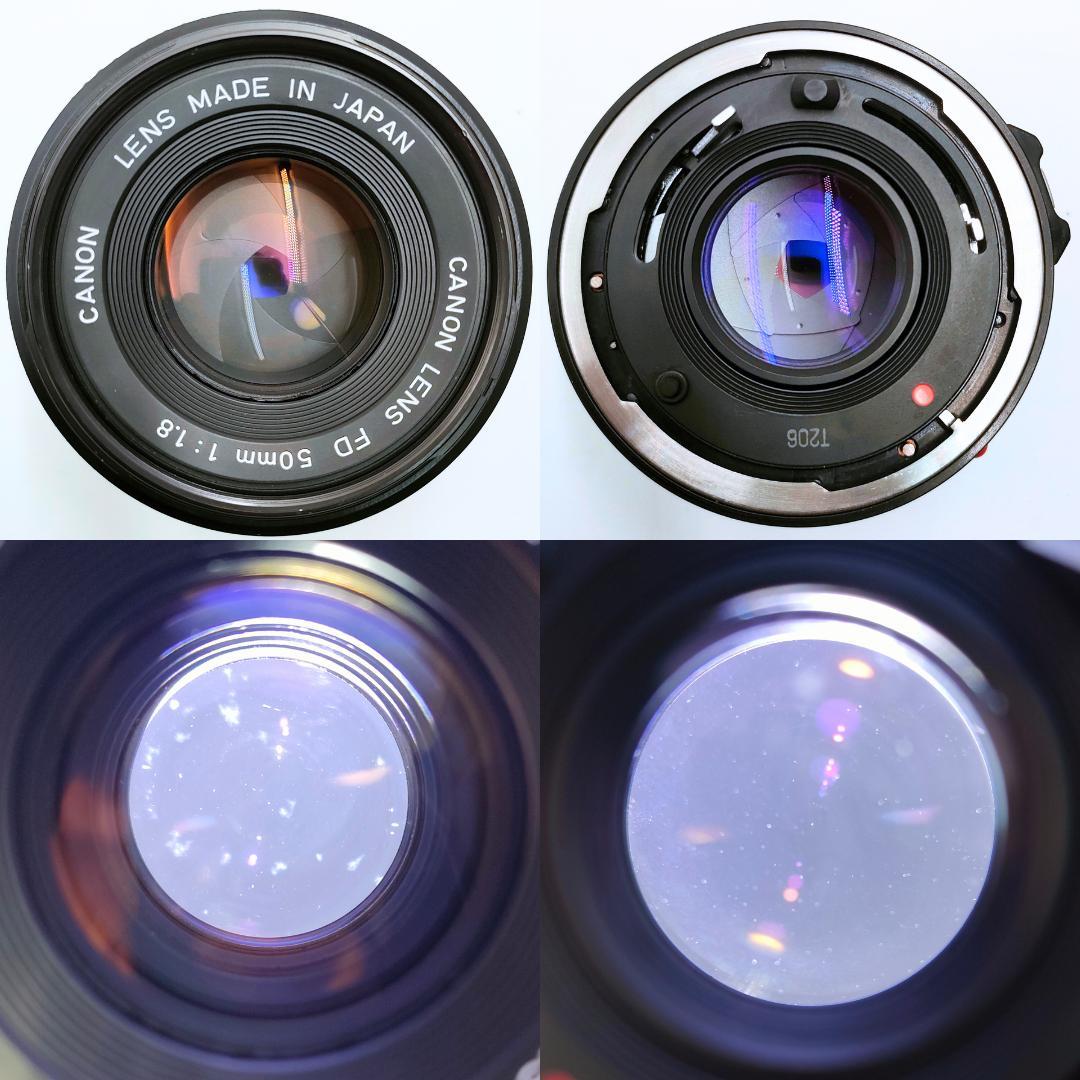 綺麗 Canon AE-1 PROGRAM / NFD 50mm F1.8