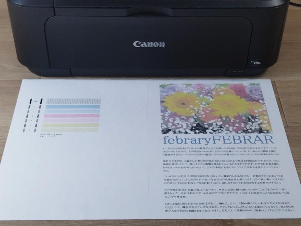 Canon MG3530　美品 印刷950枚　コンパクト かんたん プリンター