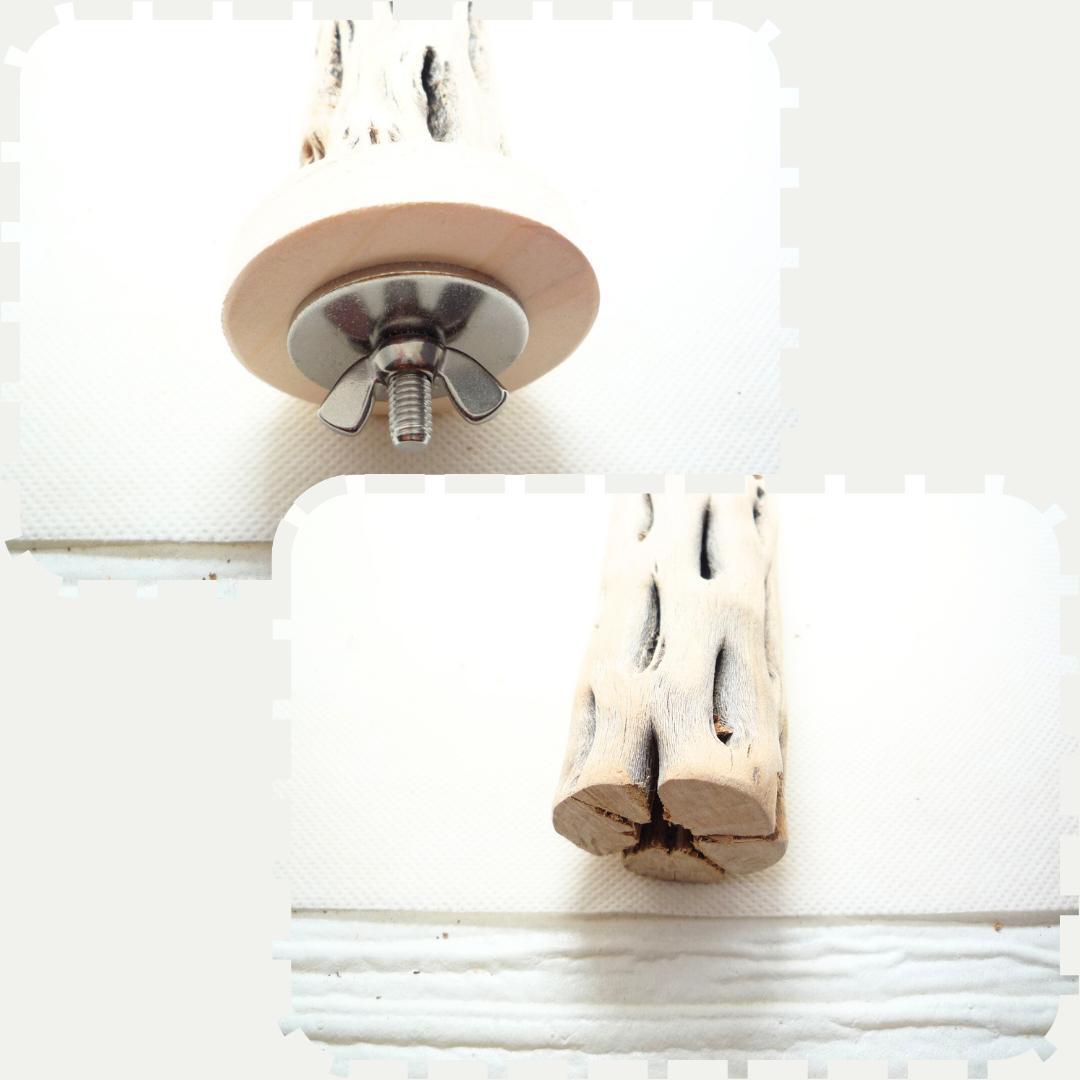 user_60ebcae4　止まり木　カクタススケルトン　パーチ