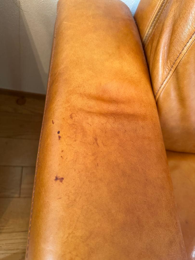 その他 ACME Furniture FRESNO SOFA 2P