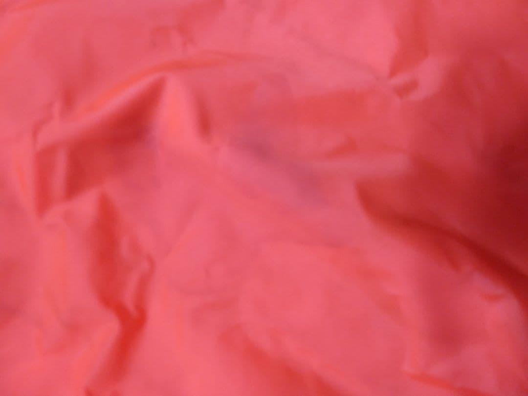 LeSportsac レスポートサック蜷川実花ニナデジ　ミカズユートピアレア柄