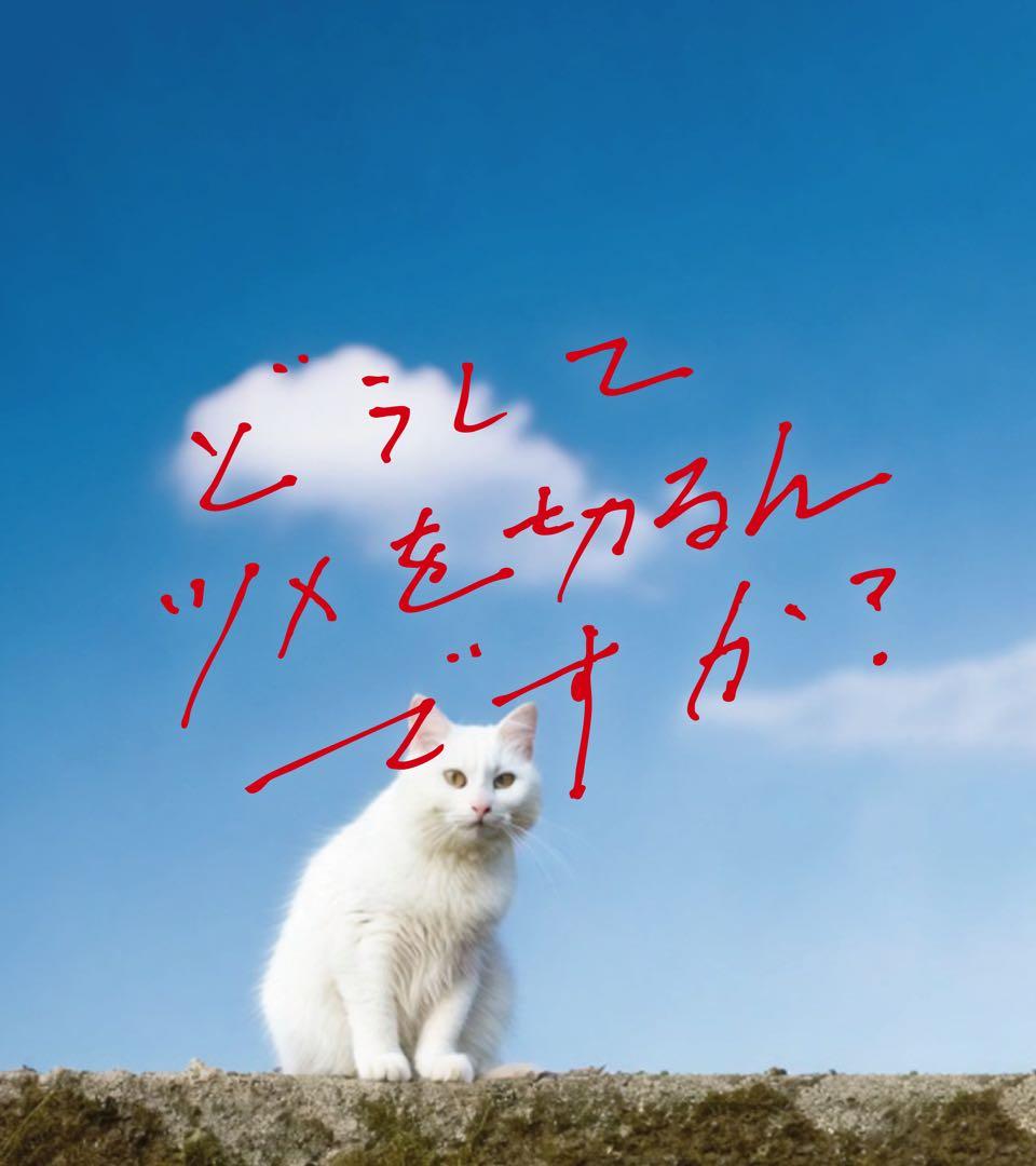 【Eliza】珈琲の輪郭セット