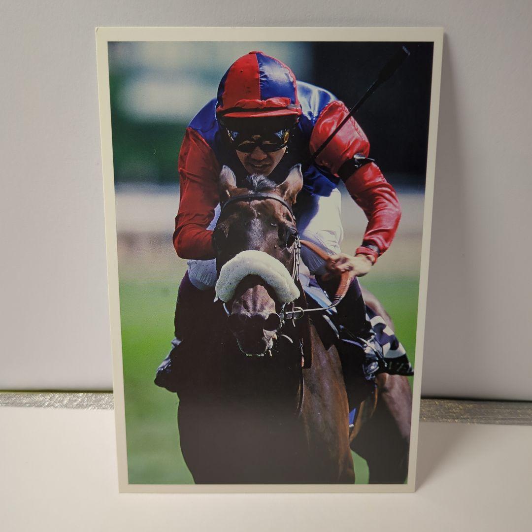 武豊　直筆サイン写真集。はがき3枚。ピンバッジ。付箋。