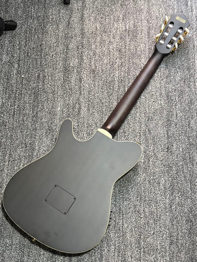 ibanez TOD10N ティム・ヘンソン　新ロゴ　エレガット