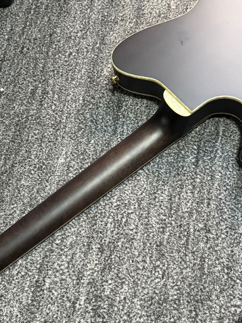 ibanez TOD10N ティム・ヘンソン　新ロゴ　エレガット