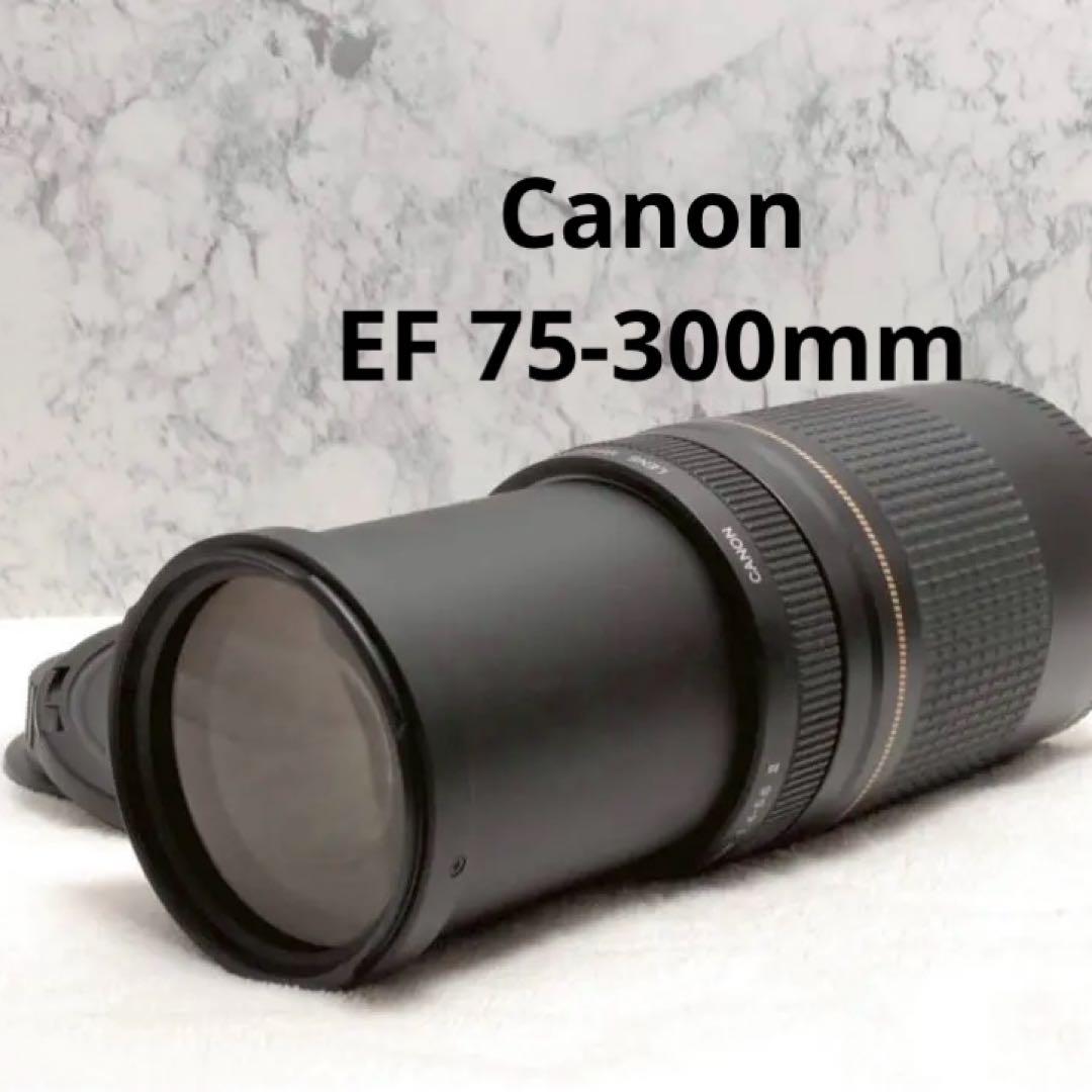 キャノン Canon EF 75-300㎜ Ⅱ望遠レンズ　キャンプ　海水浴