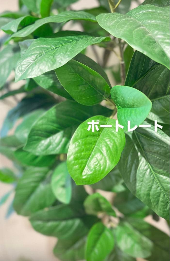 【美品】iPhone 12 Pro Max 128GB SIMフリー　本体