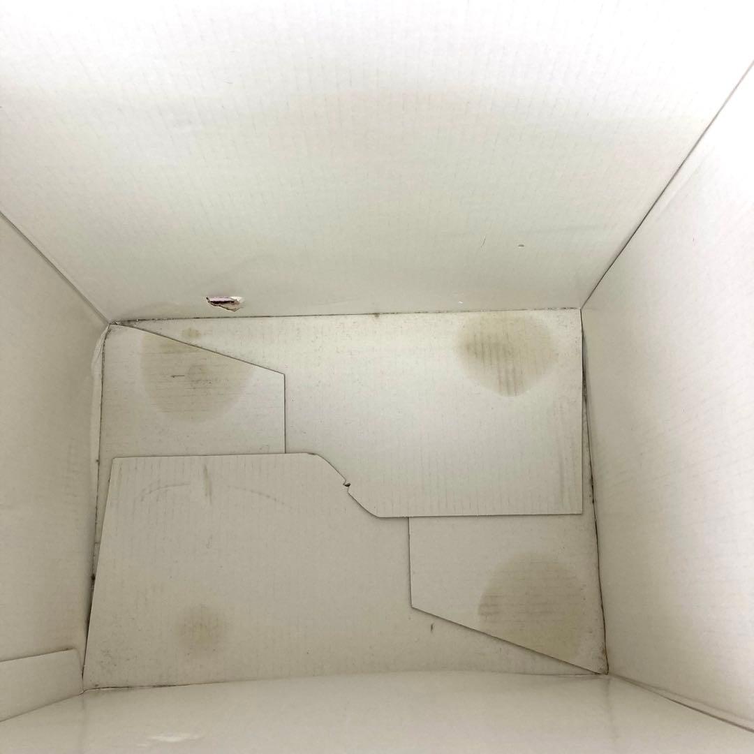 Y934-15 バイオプトロン プロ1 美容 BIOPTRON Pro1