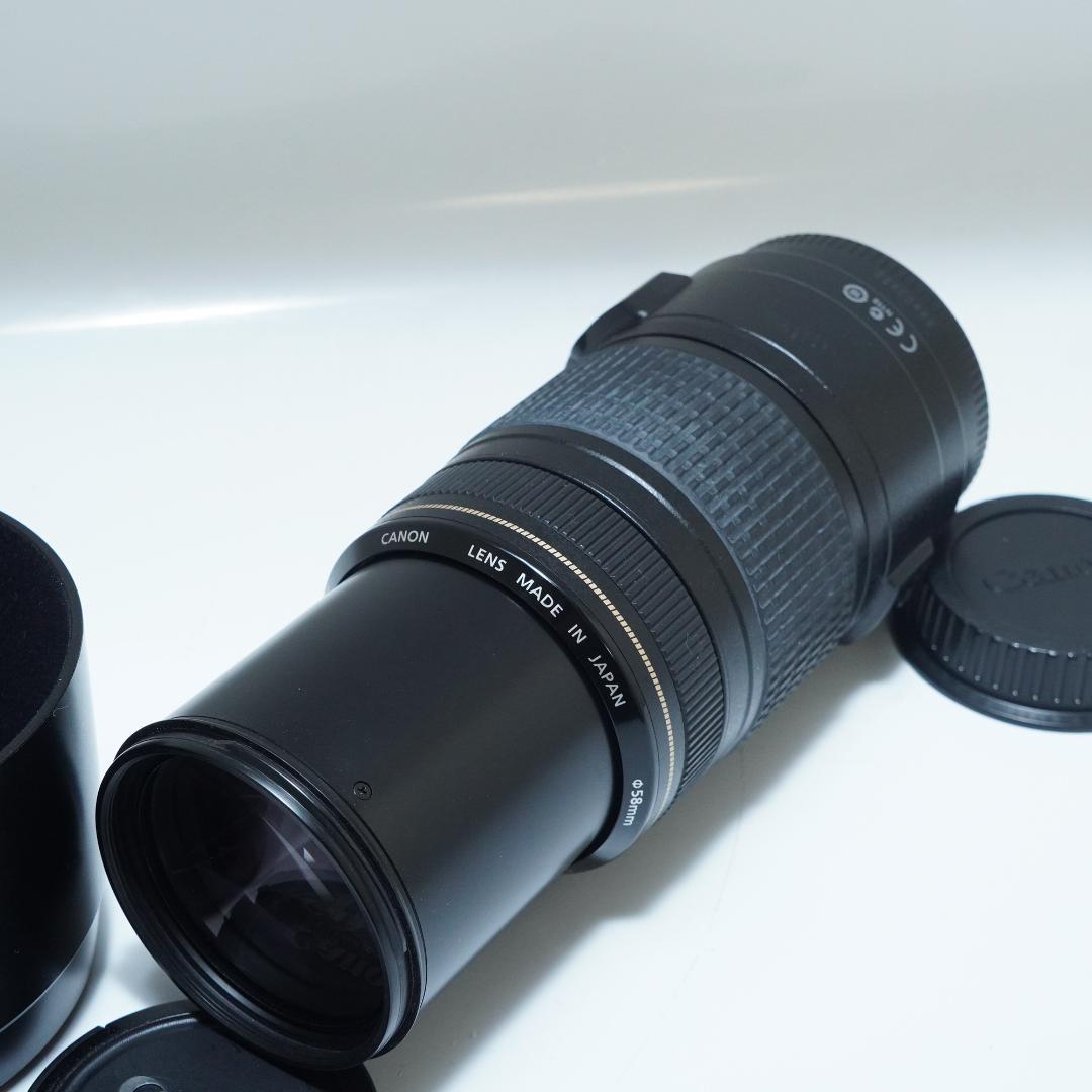 Canon キャノン EF 75-300mm 4-5.6 IS USM