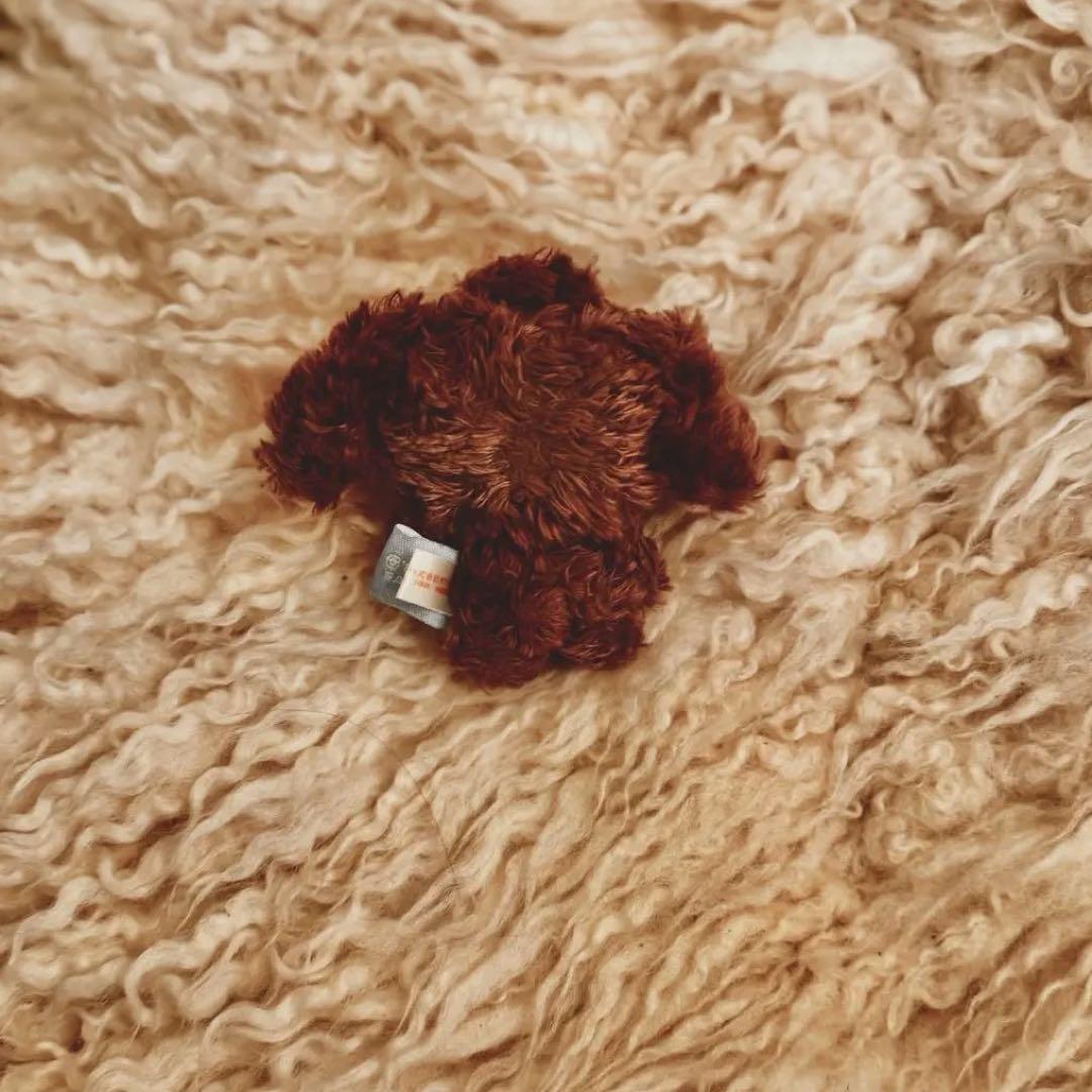 シュガーバニーズ　ぬいぐるみ　マグネット