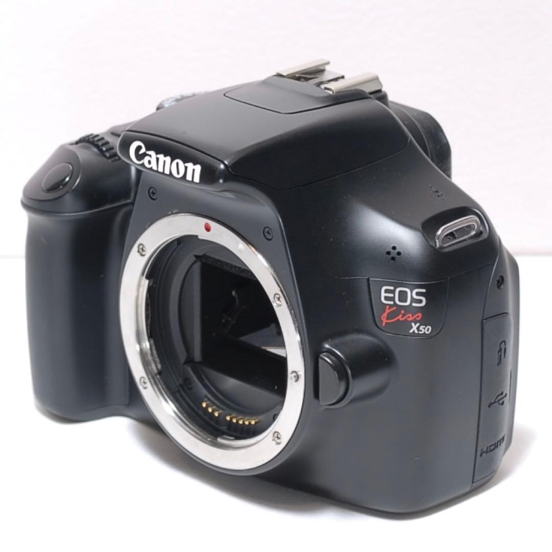 望遠レンズデビュー✨Canon Kiss X50✨ダブルレンズ✨入門モデル✨